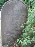 image of grave number 366297